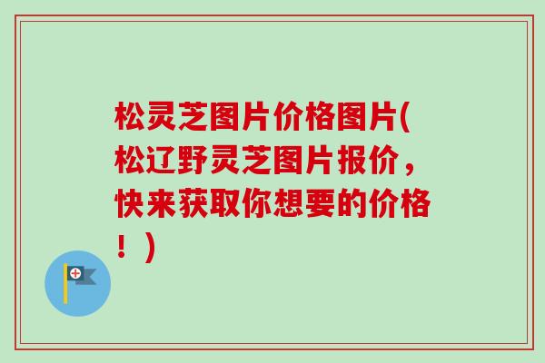 松灵芝图片价格图片(松辽野灵芝图片报价，快来获取你想要的价格！)-第1张图片-卓越灵芝孢子粉