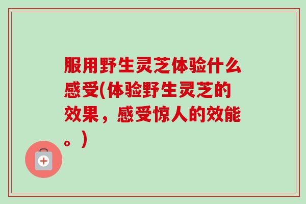 服用野生灵芝体验什么感受(体验野生灵芝的效果,感受惊人的效能。)-第1张图片-卓越灵芝孢子粉 服用野生灵芝体验什么感受(体验野生灵芝的效果,感受惊人的效能。)-第1张图片-卓越灵芝孢子粉
