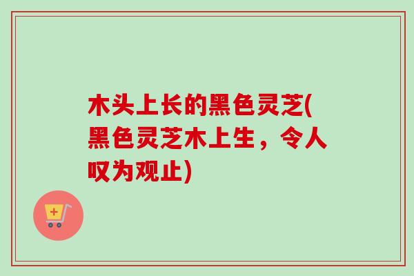 木头上长的黑色灵芝(黑色灵芝木上生，令人叹为观止)-第1张图片-卓越灵芝孢子粉