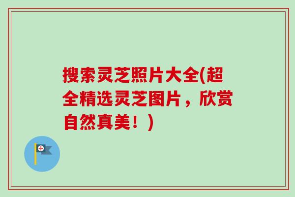 搜索灵芝照片大全(超全精选灵芝图片,欣赏自然真美!)-第1张图片-卓越灵芝孢子粉 搜索灵芝照片大全(超全精选灵芝图片,欣赏自然真美!)-第1张图片-卓越灵芝孢子粉