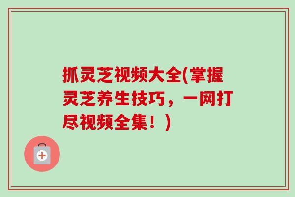 抓灵芝视频大全(掌握灵芝养生技巧,一网打尽视频全集!)-第1张图片-卓越灵芝孢子粉 抓灵芝视频大全(掌握灵芝养生技巧,一网打尽视频全集!)-第1张图片-卓越灵芝孢子粉