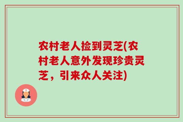 农村老人捡到灵芝(农村老人意外发现珍贵灵芝,引来众人关注)-第1张图片-卓越灵芝孢子粉 农村老人捡到灵芝(农村老人意外发现珍贵灵芝,引来众人关注)-第1张图片-卓越灵芝孢子粉