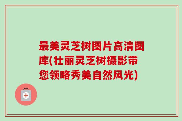 最美灵芝树图片高清图库(壮丽灵芝树摄影带您领略秀美自然风光)-第1张图片-卓越灵芝孢子粉 最美灵芝树图片高清图库(壮丽灵芝树摄影带您领略秀美自然风光)-第1张图片-卓越灵芝孢子粉