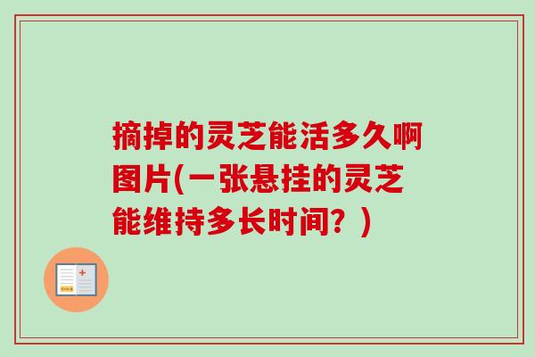 摘掉的灵芝能活多久啊图片(一张悬挂的灵芝能维持多长时间?)-第1张图片-卓越灵芝孢子粉 摘掉的灵芝能活多久啊图片(一张悬挂的灵芝能维持多长时间?)-第1张图片-卓越灵芝孢子粉