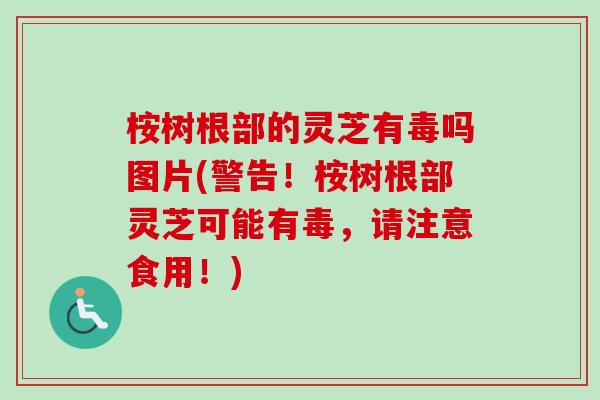 桉树根部的灵芝有毒吗图片(警告!桉树根部灵芝可能有毒,请注意食用!)-第1张图片-卓越灵芝孢子粉 桉树根部的灵芝有毒吗图片(警告!桉树根部灵芝可能有毒,请注意食用!)-第1张图片-卓越灵芝孢子粉