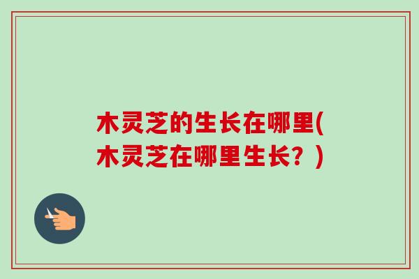 木灵芝的生长在哪里(木灵芝在哪里生长?)-第1张图片-卓越灵芝孢子粉 木灵芝的生长在哪里(木灵芝在哪里生长?)-第1张图片-卓越灵芝孢子粉