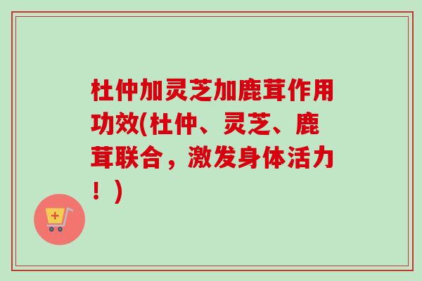 杜仲加灵芝加鹿茸作用功效(杜仲、灵芝、鹿茸联合,激发身体活力!)-第1张图片-卓越灵芝孢子粉 杜仲加灵芝加鹿茸作用功效(杜仲、灵芝、鹿茸联合,激发身体活力!)-第1张图片-卓越灵芝孢子粉