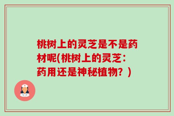 桃树上的灵芝是不是药材呢(桃树上的灵芝:药用还是神秘植物?)-第1张图片-卓越灵芝孢子粉 桃树上的灵芝是不是药材呢(桃树上的灵芝:药用还是神秘植物?)-第1张图片-卓越灵芝孢子粉