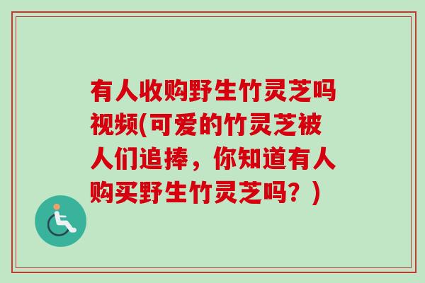 有人收购野生竹灵芝吗视频(可爱的竹灵芝被人们追捧,你知道有人购买野生竹灵芝吗?)-第1张图片-卓越灵芝孢子粉 有人收购野生竹灵芝吗视频(可爱的竹灵芝被人们追捧,你知道有人购买野生竹灵芝吗?)-第1张图片-卓越灵芝孢子粉