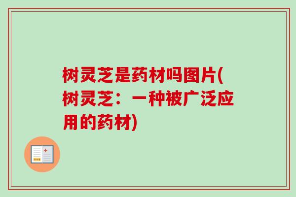 树灵芝是药材吗图片(树灵芝:一种被广泛应用的药材)-第1张图片-卓越灵芝孢子粉 树灵芝是药材吗图片(树灵芝:一种被广泛应用的药材)-第1张图片-卓越灵芝孢子粉