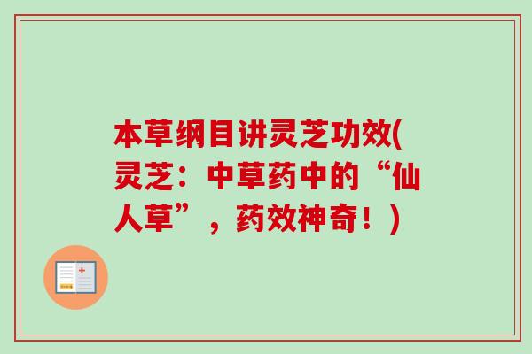 本草纲目讲灵芝功效(灵芝：中草药中的“仙人草”，药效神奇！)-第1张图片-卓越灵芝孢子粉