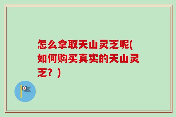 怎么拿取天山灵芝呢(如何购买真实的天山灵芝?)-第1张图片-卓越灵芝孢子粉 怎么拿取天山灵芝呢(如何购买真实的天山灵芝?)-第1张图片-卓越灵芝孢子粉