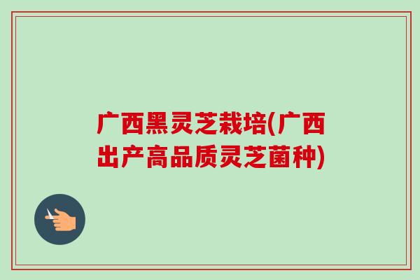 广西黑灵芝栽培(广西出产高品质灵芝菌种)-第1张图片-卓越灵芝孢子粉 广西黑灵芝栽培(广西出产高品质灵芝菌种)-第1张图片-卓越灵芝孢子粉