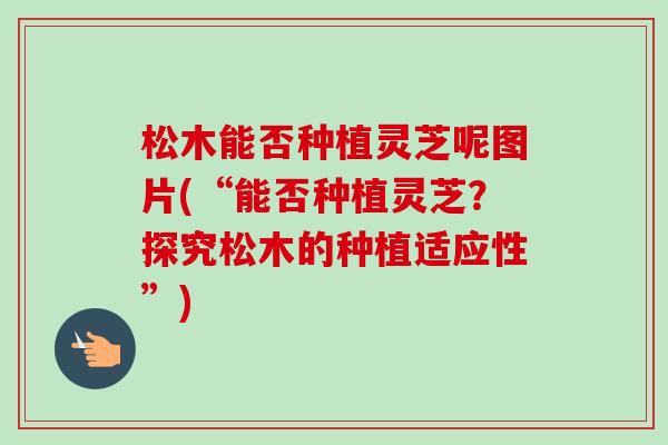 松木能否种植灵芝呢图片(“能否种植灵芝?探究松木的种植适应性”)-第1张图片-卓越灵芝孢子粉 松木能否种植灵芝呢图片(“能否种植灵芝?探究松木的种植适应性”)-第1张图片-卓越灵芝孢子粉
