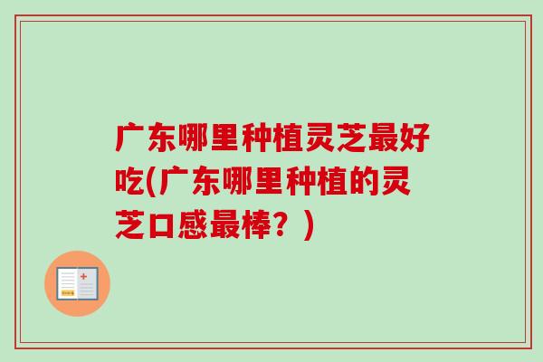 广东哪里种植灵芝最好吃(广东哪里种植的灵芝口感最棒?)-第1张图片-卓越灵芝孢子粉 广东哪里种植灵芝最好吃(广东哪里种植的灵芝口感最棒?)-第1张图片-卓越灵芝孢子粉