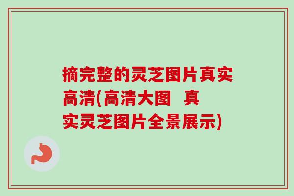 摘完整的灵芝图片真实高清(高清大图 真实灵芝图片全景展示)-第1张图片-卓越灵芝孢子粉 摘完整的灵芝图片真实高清(高清大图 真实灵芝图片全景展示)-第1张图片-卓越灵芝孢子粉
