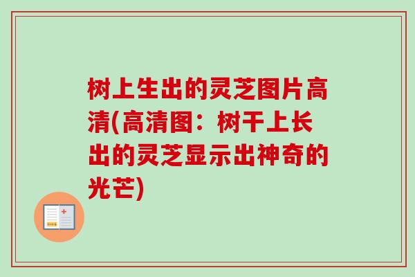 树上生出的灵芝图片高清(高清图：树干上长出的灵芝显示出神奇的光芒)-第1张图片-卓越灵芝孢子粉