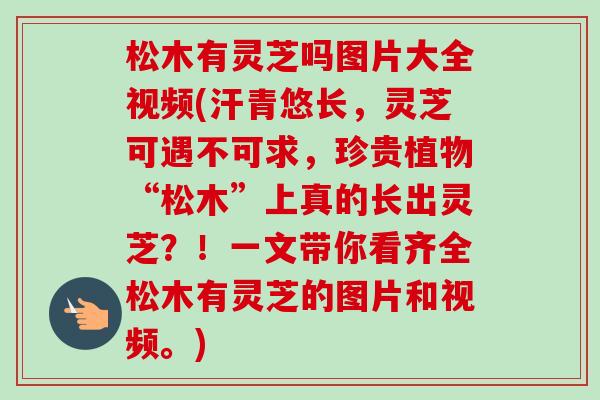 松木有灵芝吗图片大全视频(汗青悠长,灵芝可遇不可求,珍贵植物“松木”上真的长出灵芝?!一文带你看齐全松木有灵芝的图片和视频。)-第1张图片-卓越灵芝孢子粉 松木有灵芝吗图片大全视频(汗青悠长,灵芝可遇不可求,珍贵植物“松木”上真的长出灵芝?!一文带你看齐全松木有灵芝的图片和视频。)-第1张图片-卓越灵芝孢子粉