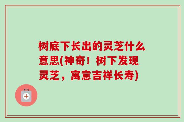 树底下长出的灵芝什么意思(神奇！树下发现灵芝，寓意吉祥长寿)-第1张图片-卓越灵芝孢子粉