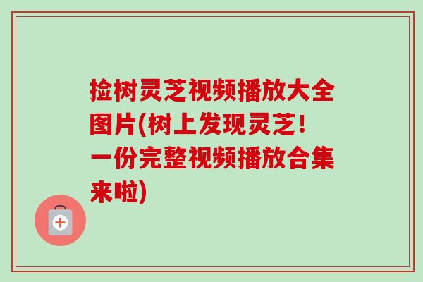 捡树灵芝视频播放大全图片(树上发现灵芝!一份完整视频播放合集来啦)-第1张图片-卓越灵芝孢子粉 捡树灵芝视频播放大全图片(树上发现灵芝!一份完整视频播放合集来啦)-第1张图片-卓越灵芝孢子粉