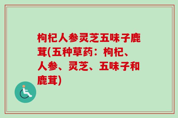 枸杞人参灵芝五味子鹿茸(五种草药:枸杞、人参、灵芝、五味子和鹿茸)-第1张图片-卓越灵芝孢子粉 枸杞人参灵芝五味子鹿茸(五种草药:枸杞、人参、灵芝、五味子和鹿茸)-第1张图片-卓越灵芝孢子粉