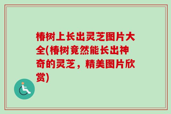 椿树上长出灵芝图片大全(椿树竟然能长出神奇的灵芝，精美图片欣赏)-第1张图片-卓越灵芝孢子粉