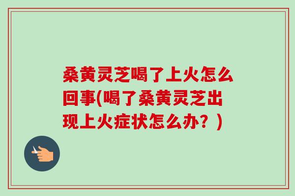 桑黄灵芝喝了上火怎么回事(喝了桑黄灵芝出现上火症状怎么办？)-第1张图片-卓越灵芝孢子粉