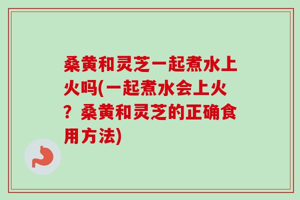 桑黄和灵芝一起煮水上火吗(一起煮水会上火？桑黄和灵芝的正确食用方法)-第1张图片-卓越灵芝孢子粉