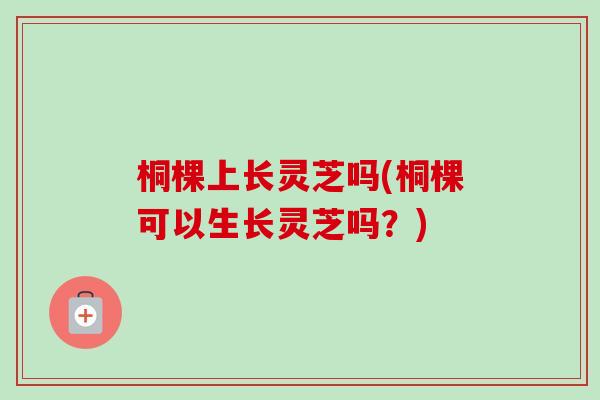 桐棵上长灵芝吗(桐棵可以生长灵芝吗?)-第1张图片-卓越灵芝孢子粉 桐棵上长灵芝吗(桐棵可以生长灵芝吗?)-第1张图片-卓越灵芝孢子粉