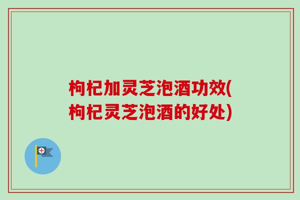 枸杞加灵芝泡酒功效(枸杞灵芝泡酒的好处)-第1张图片-卓越灵芝孢子粉 枸杞加灵芝泡酒功效(枸杞灵芝泡酒的好处)-第1张图片-卓越灵芝孢子粉