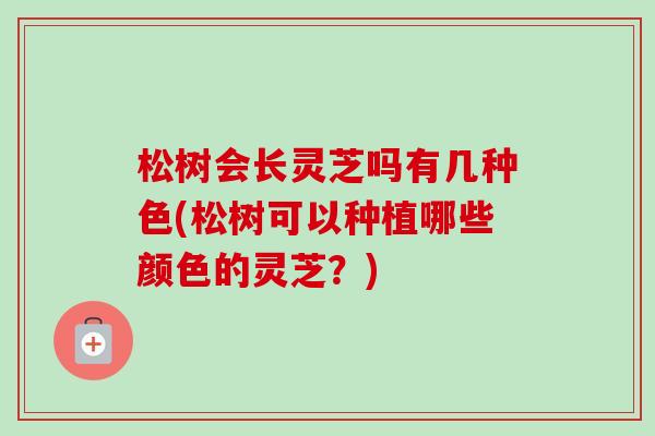 松树会长灵芝吗有几种色(松树可以种植哪些颜色的灵芝?)-第1张图片-卓越灵芝孢子粉 松树会长灵芝吗有几种色(松树可以种植哪些颜色的灵芝?)-第1张图片-卓越灵芝孢子粉