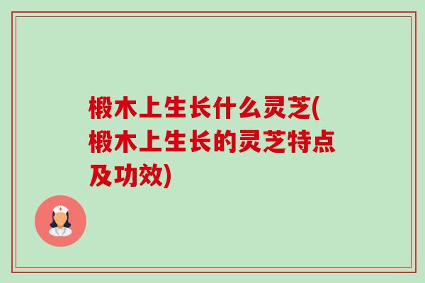 椴木上生长什么灵芝(椴木上生长的灵芝特点及功效)-第1张图片-卓越灵芝孢子粉 椴木上生长什么灵芝(椴木上生长的灵芝特点及功效)-第1张图片-卓越灵芝孢子粉