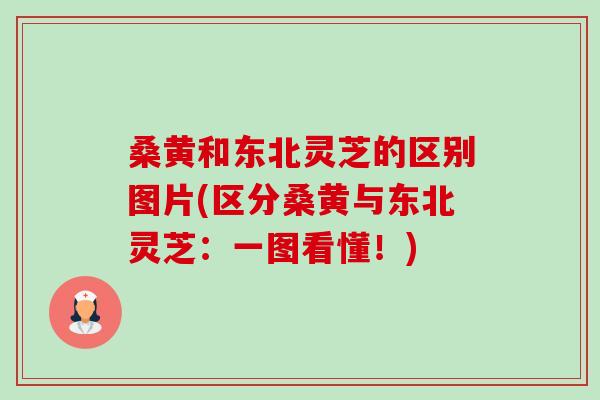 桑黄和东北灵芝的区别图片(区分桑黄与东北灵芝:一图看懂!)-第1张图片-卓越灵芝孢子粉 桑黄和东北灵芝的区别图片(区分桑黄与东北灵芝:一图看懂!)-第1张图片-卓越灵芝孢子粉