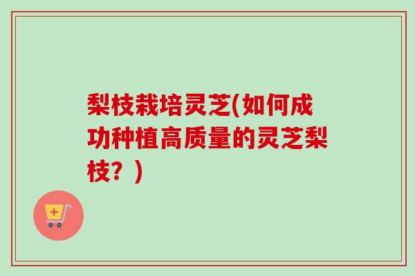 梨枝栽培灵芝(如何成功种植高质量的灵芝梨枝？)-第1张图片-卓越灵芝孢子粉