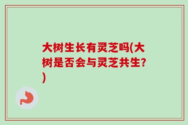 大树生长有灵芝吗(大树是否会与灵芝共生?)-第1张图片-卓越灵芝孢子粉 大树生长有灵芝吗(大树是否会与灵芝共生?)-第1张图片-卓越灵芝孢子粉