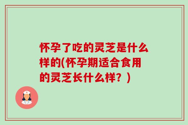 怀孕了吃的灵芝是什么样的(怀孕期适合食用的灵芝长什么样?)-第1张图片-卓越灵芝孢子粉 怀孕了吃的灵芝是什么样的(怀孕期适合食用的灵芝长什么样?)-第1张图片-卓越灵芝孢子粉