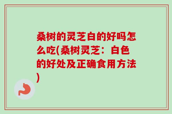 桑树的灵芝白的好吗怎么吃(桑树灵芝:白色的好处及正确食用方法)-第1张图片-卓越灵芝孢子粉 桑树的灵芝白的好吗怎么吃(桑树灵芝:白色的好处及正确食用方法)-第1张图片-卓越灵芝孢子粉