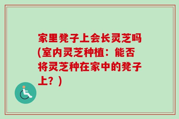 家里凳子上会长灵芝吗(室内灵芝种植:能否将灵芝种在家中的凳子上?)-第1张图片-卓越灵芝孢子粉 家里凳子上会长灵芝吗(室内灵芝种植:能否将灵芝种在家中的凳子上?)-第1张图片-卓越灵芝孢子粉