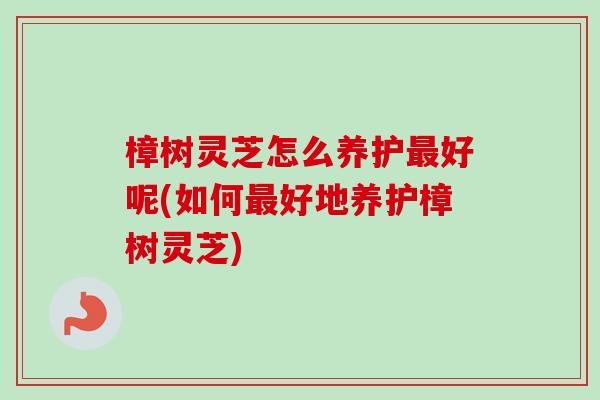樟树灵芝怎么养护最好呢(如何最好地养护樟树灵芝)-第1张图片-卓越灵芝孢子粉 樟树灵芝怎么养护最好呢(如何最好地养护樟树灵芝)-第1张图片-卓越灵芝孢子粉