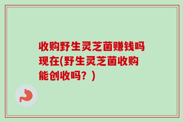 收购野生灵芝菌赚钱吗现在(野生灵芝菌收购能创收吗？)-第1张图片-卓越灵芝孢子粉
