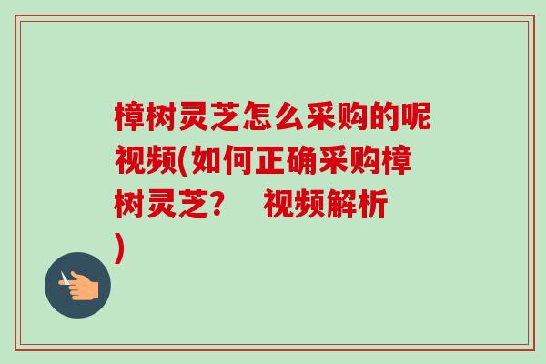 樟树灵芝怎么采购的呢视频(如何正确采购樟树灵芝? 视频解析)-第1张图片-卓越灵芝孢子粉 樟树灵芝怎么采购的呢视频(如何正确采购樟树灵芝? 视频解析)-第1张图片-卓越灵芝孢子粉