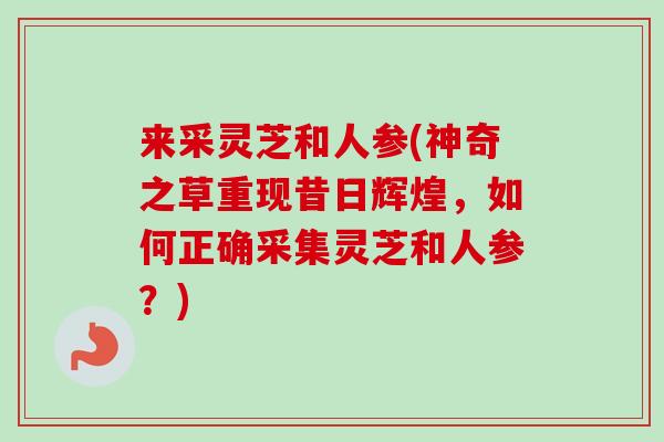 来采灵芝和人参(神奇之草重现昔日辉煌,如何正确采集灵芝和人参?)-第1张图片-卓越灵芝孢子粉 来采灵芝和人参(神奇之草重现昔日辉煌,如何正确采集灵芝和人参?)-第1张图片-卓越灵芝孢子粉