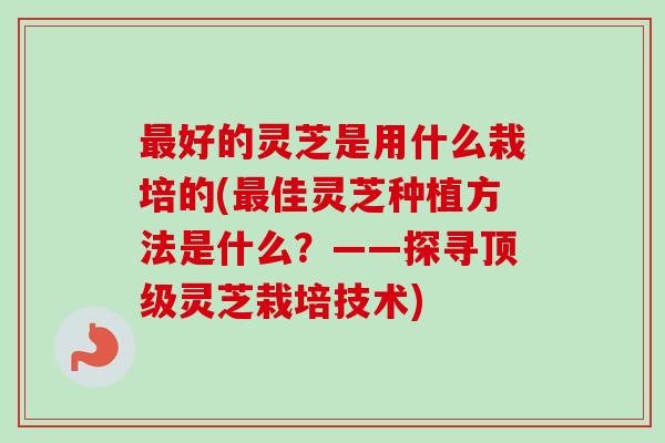 最好的灵芝是用什么栽培的(最佳灵芝种植方法是什么?——探寻顶级灵芝栽培技术)-第1张图片-卓越灵芝孢子粉 最好的灵芝是用什么栽培的(最佳灵芝种植方法是什么?——探寻顶级灵芝栽培技术)-第1张图片-卓越灵芝孢子粉