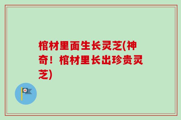 棺材里面生长灵芝(神奇!棺材里长出珍贵灵芝)-第1张图片-卓越灵芝孢子粉 棺材里面生长灵芝(神奇!棺材里长出珍贵灵芝)-第1张图片-卓越灵芝孢子粉