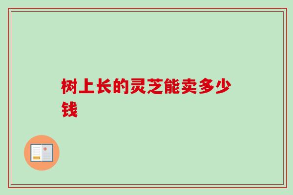 树上长的灵芝能卖多少钱-第1张图片-卓越灵芝孢子粉 树上长的灵芝能卖多少钱-第1张图片-卓越灵芝孢子粉