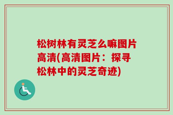 松树林有灵芝么嘛图片高清(高清图片：探寻松林中的灵芝奇迹)-第1张图片-卓越灵芝孢子粉