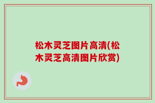 松木灵芝图片高清(松木灵芝高清图片欣赏)-第1张图片-卓越灵芝孢子粉