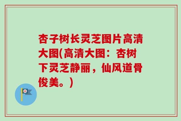 杏子树长灵芝图片高清大图(高清大图:杏树下灵芝静丽,仙风道骨俊美。)-第1张图片-卓越灵芝孢子粉 杏子树长灵芝图片高清大图(高清大图:杏树下灵芝静丽,仙风道骨俊美。)-第1张图片-卓越灵芝孢子粉