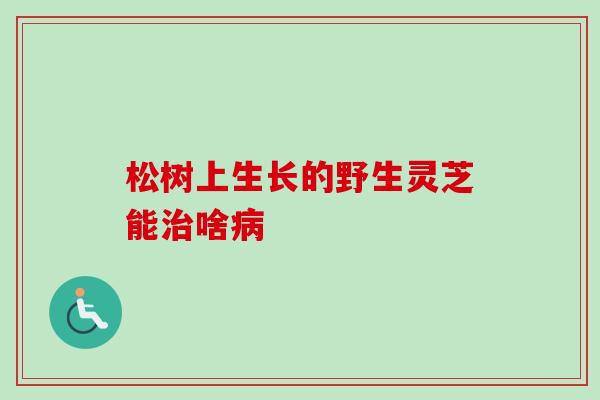 松树上生长的野生灵芝能治啥病-第1张图片-卓越灵芝孢子粉 松树上生长的野生灵芝能治啥病-第1张图片-卓越灵芝孢子粉