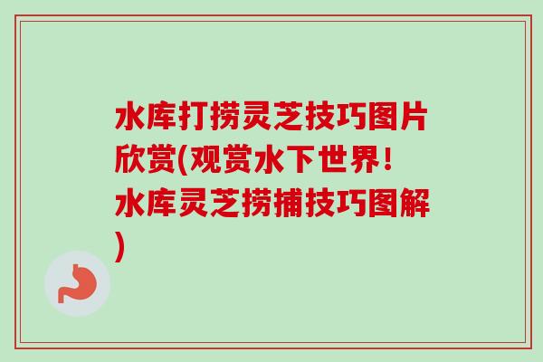 水库打捞灵芝技巧图片欣赏(观赏水下世界!水库灵芝捞捕技巧图解)-第1张图片-卓越灵芝孢子粉 水库打捞灵芝技巧图片欣赏(观赏水下世界!水库灵芝捞捕技巧图解)-第1张图片-卓越灵芝孢子粉